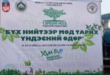 “Тэрбум мод” үндэсний хөдөлгөөний хүрээнд “Бүх нийтээр мод тарих үндэсний өдөр”-өөр Санхүүгийн хяналт, дотоод аудитын албан хаагчид хуваарилсан талбайд хайлаас мод тарьлаа.