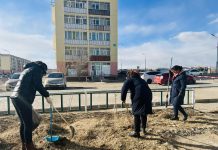 Байгууллагын хуваарьт газрын ойр орчмын 50м газрын цэвэрлэгээг хийлээ.