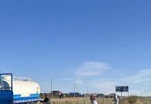 Хуваарьт газрын тарьсан модоо тогоолж, цэнэг усалгаа хийн ойр орчмын хогийг цэвэрлэлээ.